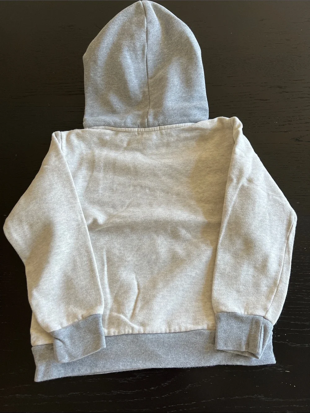 Ralph Lauren polo hoodie